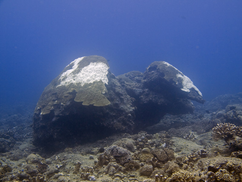 Underwater Scene, Shark's Cave 1